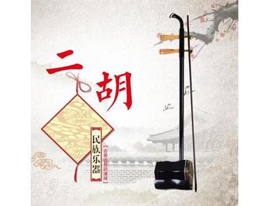 招聘信阳二胡家教老师